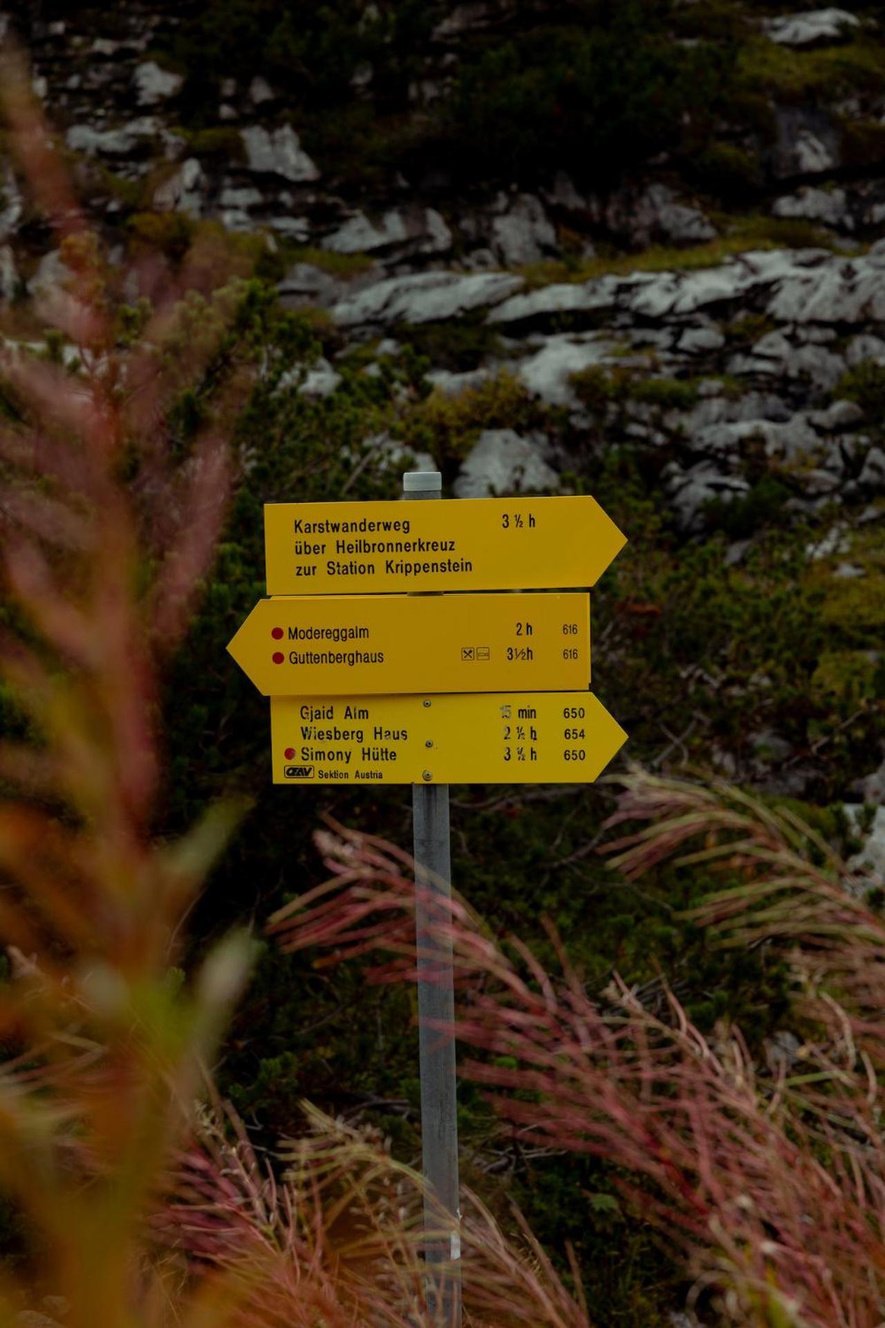 Gjaid-Alm 1739M Am Dachstein-Only Accessible By Cable Car Hotel Obertraun Exterior photo