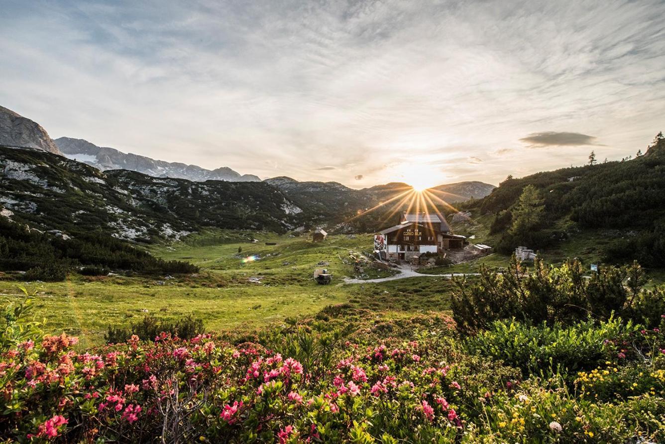 Gjaid-Alm 1739M Am Dachstein-Only Accessible By Cable Car Hotel Obertraun Exterior photo